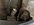 B3FCD0AD-DFCE-4C3A-BABD-B19F4160B62E.jpeg