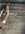 2932CC93-0DDC-4B87-8239-99A37370F77B.jpeg
