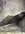 43DD58D4-96E3-4E21-8D06-5925A161E9C8.jpeg