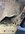8FC20802-BCF9-4B9F-9D78-EEF10BAAA562.jpeg