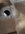 20210410_210458.jpg