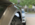 greg1.png