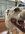 425A7B91-6127-45D3-BEFB-4592E0884C21.jpeg