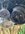 303B0AFE-38E0-4D7B-A35D-2E52A6E71AD6.jpeg