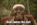 FAC6EC3D-29C2-464B-97DD-7E04EA7C1882.gif