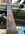 D32598B4-493C-4424-88DB-DAFC6D4E7873.jpeg