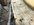 4775AC86-A9C0-47D3-B24B-205C056C1B49.jpeg