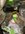 806160DB-5977-4E25-95D5-28C837014264.jpeg