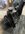 F8367AEC-7208-46A7-9642-F8EFFDDD0F61.jpeg