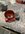 1EFF9031-5C18-4A6A-B624-3B1970EA4434.jpeg
