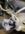 1619224159189.png