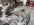A150F8A6-22BD-497B-9990-DE730E33D7F7.jpeg