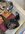 73EFF123-0116-4105-A9A7-9B18DE91C0F3.jpeg