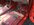 IMG-2285.JPG