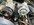 7870B6CD-B076-4D58-B9CE-B40D8FC35C51.jpeg