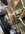 7C192519-2B87-4FF3-BC4E-A7571FE5663C.jpeg