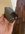 14618E16-A1BE-4ED2-B394-3443CA7CC8C8.jpeg