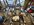 2C352276-A81A-45D1-A6D0-1EE4044630D2.jpeg