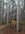 709E1C3B-0E25-4776-B79F-236CE58DEE11.jpeg