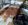 Outer roof.jpg