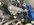 D7EA0177-4F38-4ACB-92D6-225F4B47FFD9.jpeg