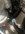 5219DEAC-FFDF-49A0-8F14-652BCB5E86F5.jpeg
