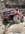 75FADC78-9A39-4D65-8664-1882BCBD2B01.jpeg