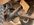 3AC98D5B-1EAD-4DD3-A11E-EFDB2ACEC820.jpeg