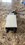 IMG_1227.jpeg