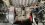 IMG_1234.jpeg