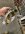 905981F2-57F2-435F-8BFF-A96AC7E21FAD.jpeg