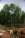 IMGP3291.JPG
