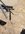 545EF115-D2EE-425C-9693-5A3A1C743C79.jpeg