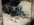 BE57616D-F000-41B8-8AD4-C83932161BC6.jpeg