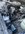 588F49B0-E4E4-4E66-8073-372DE1638CB8.jpeg