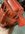 57CDCE23-F30F-4CFC-8D9A-2989B9E37CCE.jpeg