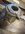735AFC94-3A2C-4CE5-A35A-C30EC46F1104.jpeg