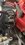 37A09602-7BCB-46B8-BFE1-F9EB4BAAF7D3.jpeg