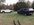 8AF23060-3A76-4B27-88ED-A9211118909D.jpeg