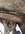 8A28AC3E-5D47-4CF3-9491-5AB8B9700995.jpeg