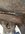 F0A888B9-98D4-465A-862E-0BA9B48FA553.jpeg