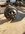 1932CA07-AAA2-4B36-9035-E21C3B852228.jpeg