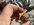 FD57AE49-416A-41B4-874B-5C77B62B3FD2.jpeg