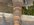 DSCN1586.JPG