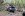 dcp_4904Nastyappraoch.jpg