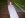 100_9876.JPG