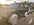 8DD4B223-AEEC-49DF-B07B-AC4013D52082.jpeg