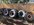 2E42CBDC-B5FC-49ED-9B31-BBA27A1A15C9.jpeg
