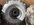 419B8D2A-EB6A-43F5-A5C3-D62C89671BCF.jpeg
