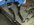AE8FB0F5-E8F7-4ECD-8219-35D32FE45D1E.jpeg